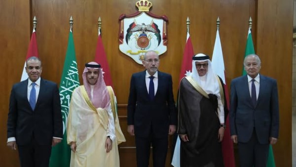 وزير الخارجية يستعرض الجهود المصرية الحثيثة لوقف إطلاق النار في غزة