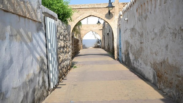 بقيمة 340 مليون ريال.. جازان تنجز 16 مشروعًا بلديًا في جزر فرسان بقيمة 340 مليون ريال.. جازان تنجز 16 مشروعًا بلديًا في جزر فرسان