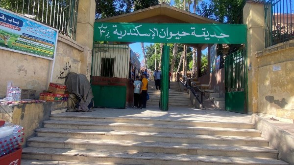 حديقة الحيوان بالإسكندرية