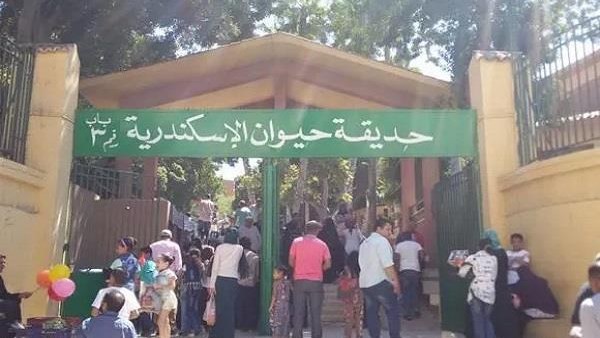 حديقة الحيوان بالإسكندرية حديقة الحيوان بالإسكندرية