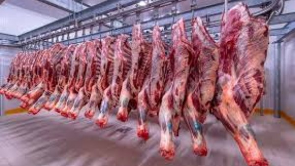 المجازر الحكومية المجازر الحكومية