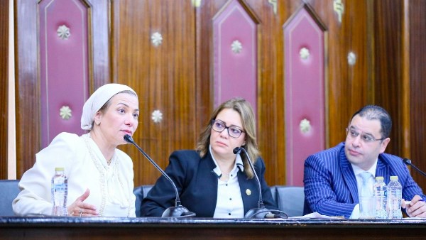 الدكتورة ياسمين فؤاد الدكتورة ياسمين فؤاد