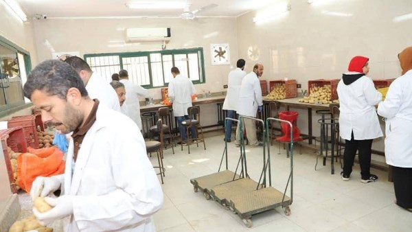 الزراعة الزراعة
