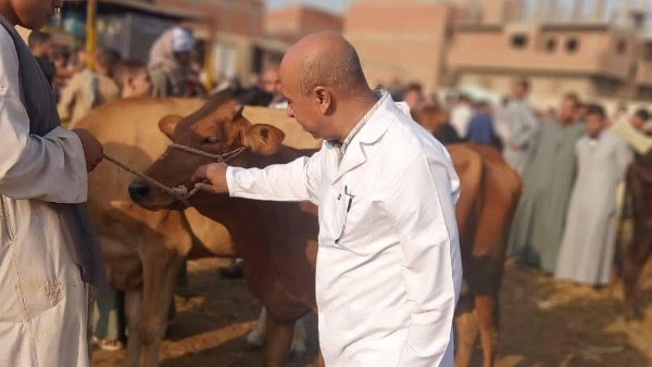 "الزراعة" تواصل متابعة الحالة الصحية للخيول وأسواق الماشية في بعض المحافظات "الزراعة" تواصل متابعة الحالة الصحية للخيول وأسواق الماشية في بعض المحافظات