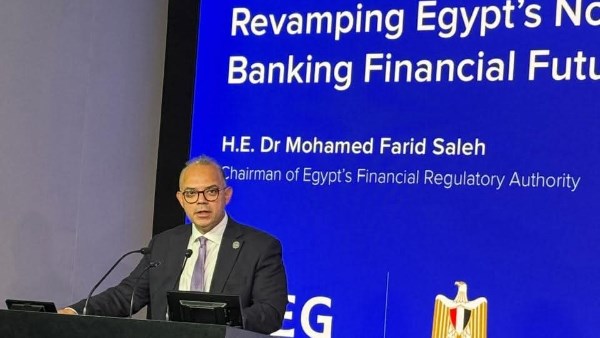 الدكتور محمد فريد رئيس الهيئة العامة للرقابة المالية