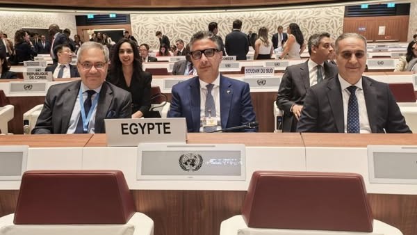 تفاصيل مشاركة مصر في فعاليات مؤتمر الأمم المتحدة حول المنافسة وحماية المستهلك تفاصيل مشاركة مصر في فعاليات مؤتمر الأمم المتحدة حول المنافسة وحماية المستهلك