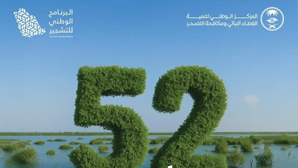 السعودية تستهدف زراعة 100 مليون شتلة مانجروف بحلول عام 2030 السعودية تستهدف زراعة 100 مليون شتلة مانجروف بحلول عام 2030