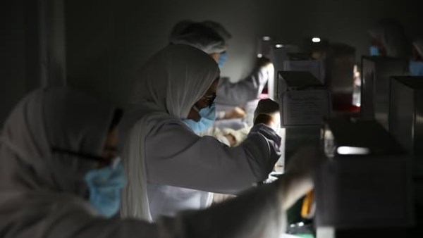 بينها 4 جديدة.. أكبر شركة لإنتاج بنج الأسنان في مصر تكشف عن مشروعاتها بينها 4 جديدة.. أكبر شركة لإنتاج بنج الأسنان في مصر تكشف عن مشروعاتها