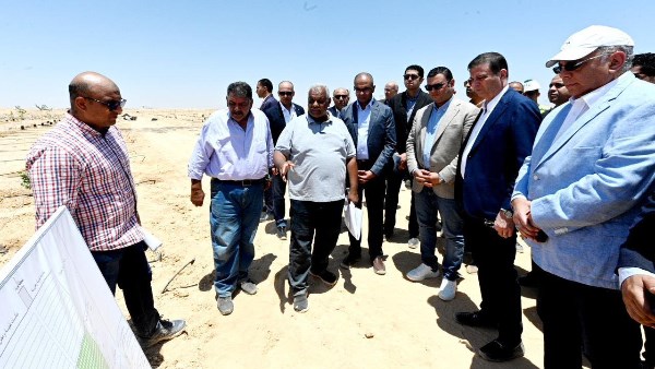 محطة التجارب البحثية