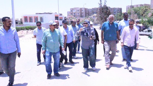 المهندسة مروة حسين