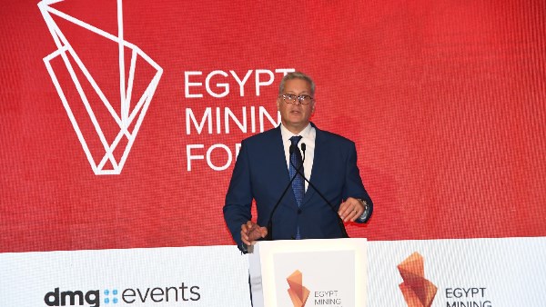 المهندس كريم بدوي