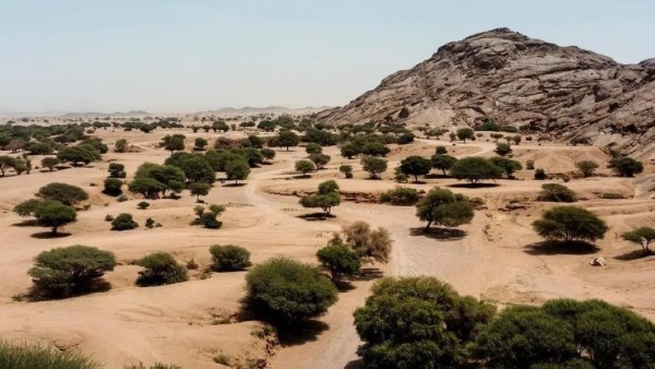 على 3 مراحل.. السعودية تستهدف تأهيل 40 مليون هكتار من الأراضي على 3 مراحل.. السعودية تستهدف تأهيل 40 مليون هكتار من الأراضي