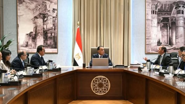 رئيس الوزراء يتابع جهود دعم صناعة الدواء في السوق المصرية