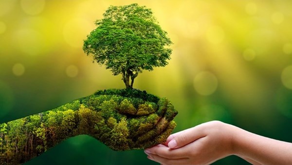 تخصيص 40 مليون دولار لدعم مشروعات البنية التحتية الخضراء في أفريقيا تخصيص 40 مليون دولار لدعم مشروعات البنية التحتية الخضراء في أفريقيا