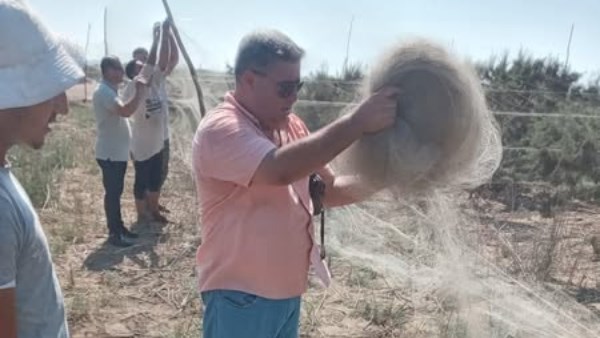 إزالة كميات كبيرة من شباك صيد الطيور المهاجرة بشمال محمية البرلس إزالة كميات كبيرة من شباك صيد الطيور المهاجرة بشمال محمية البرلس