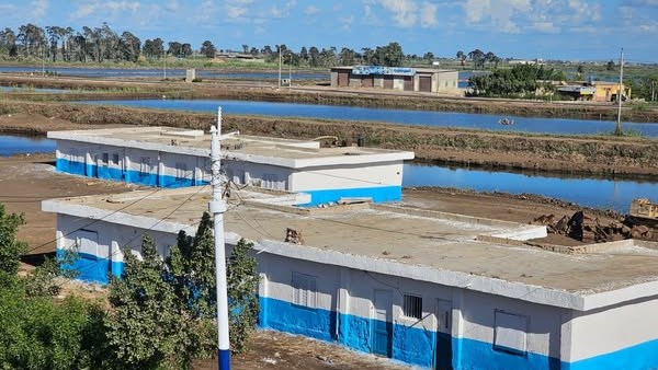 تجديد مزرعة الزاوية السمكية بكفر الشيخ وانشاء مركز تدريبي بها تجديد مزرعة الزاوية السمكية بكفر الشيخ وانشاء مركز تدريبي بها