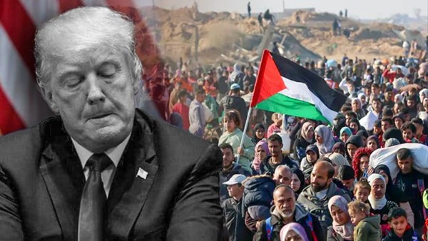 بينهم مصر والسعودية.. 8 دول تؤكد استعدادها التعاون بشكل إيجابي وبنّاء مع خطة ترامب لغزة