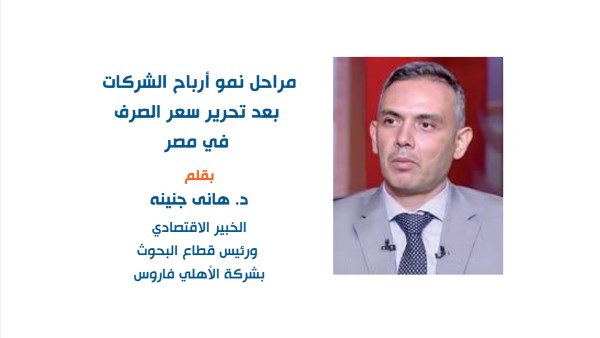 دكتور هاني جنينة الخبير الاقتصادي ورئيس قطاع البحوث بشركة «الأهلي فاروس»
