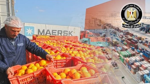 مصر تفتح سوق الدومينيكان