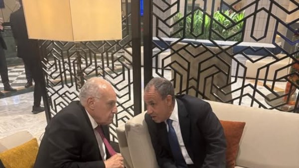 وزيرا خارجية مصر والجزائر يبحثان تعزيز العلاقات
