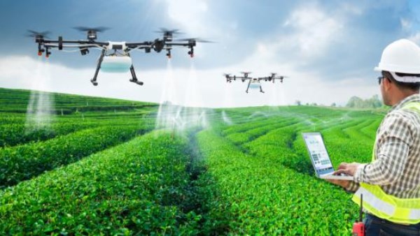 الزراعة الذكية تعزز استدامة القطاع الزراعي في المدينة المنورة وتدعم الأمن الغذائي