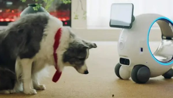 روبوت ذكي لرعاية الحيوانات الأليفة.. يطعم ويلعب ويراقب المشاعر أثناء غيابك