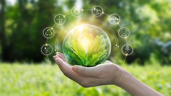 حكم تاريخي لمنظمة التجارة العالمية.. الصين تكسب نزاع الدعم المالي للطاقة الخضراء ضد أمريكا