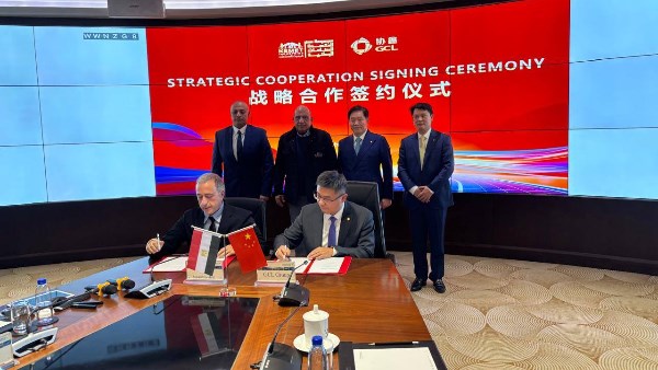 وزير الكهرباء 