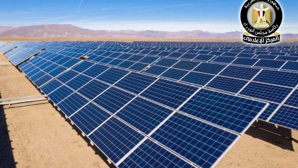 مشروع الاستثمارات الزراعية