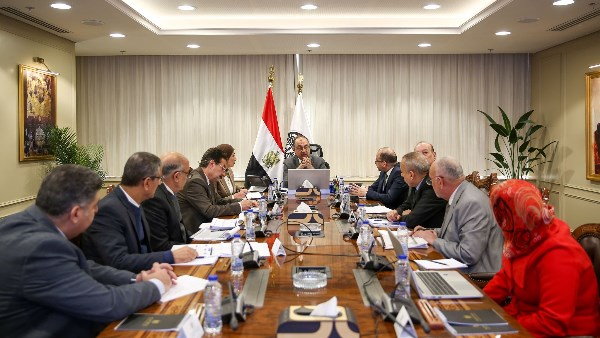 وزير قطاع الأعمال العام