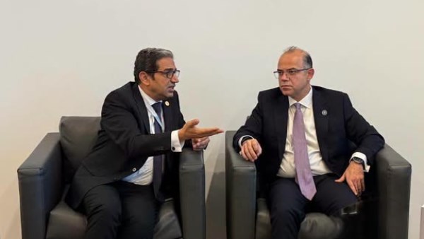 وزير الاستثمار 