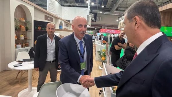 90 شركة مصرية تستعرض فرص التصدير الزراعي في معرض «فروت أتراكشن 2026» بإسبانيا