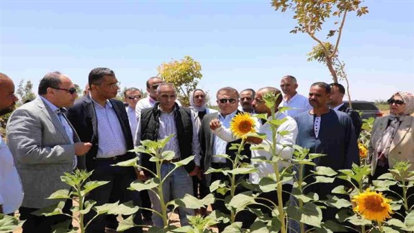 مشروع الجوجوبا بالغردقة يحصد المركز الأول في المبادرة الوطنية للمشروعات الخضراء الذكية