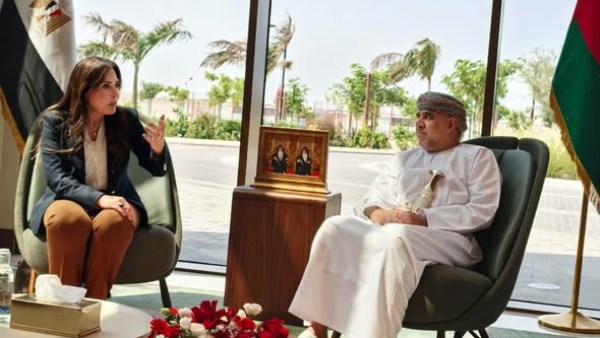  المهندسة راندة المنشاوي