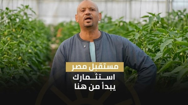 تجارب المستثمرين