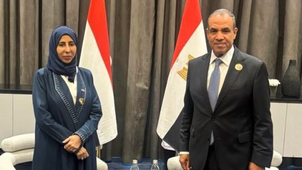 وزير الخارجية 