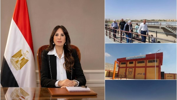 المهندسة راندة المنشاوي