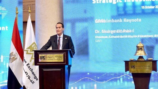 وزير الاستثمار