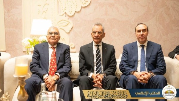 المستشار هاني حنا