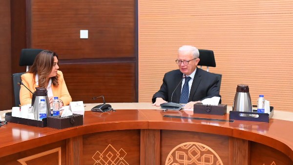 نائب رئيس مجلس الوزراء