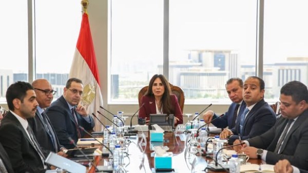  المهندسة راندة المنشاوي