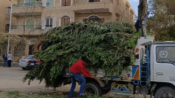 التجمع الخامس 