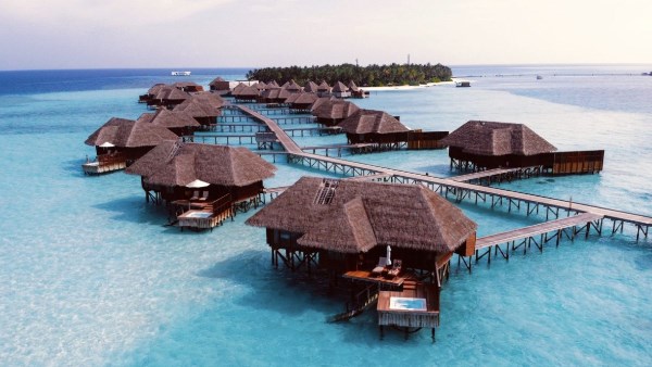 المالديف 