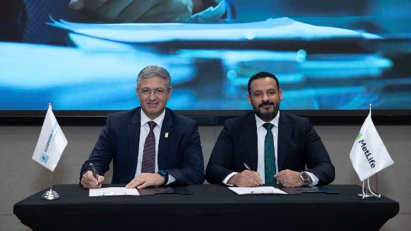  شركة سيرينيتي