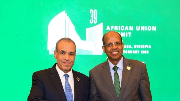 بدر عبد العاطي