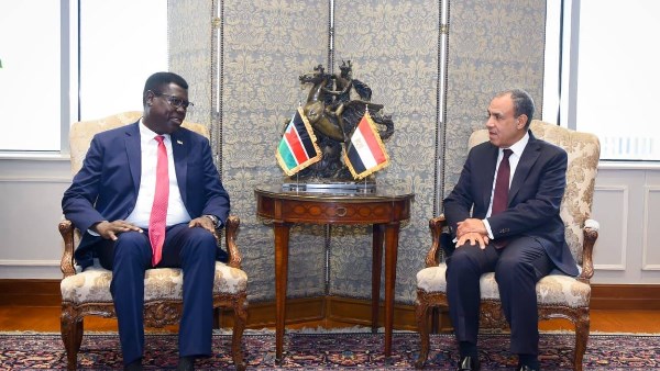 بدر عبد العاطى