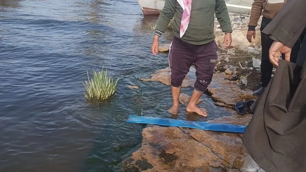 جهاز حماية وتنمية البحيرات: تنفيذ مرحلة جديدة من خطة تنمية بحيرة وادي الريان بزريعة الطوبارة