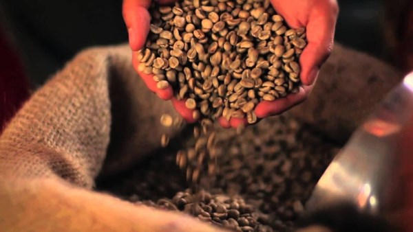 توقعات بمحصول قياسي للبن في البرازيل خلال 2026 مدفوعًا بتحسن الإنتاجية والظروف المناخية