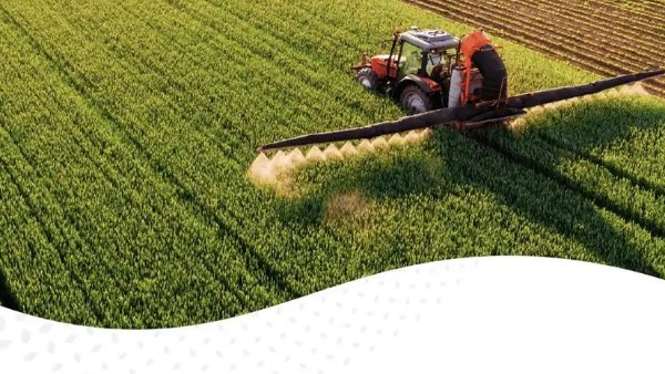 السعودية.. طرح مناقصة جديدة لاستيراد 655 ألف طن من القمح لتعزيز المخزون الإستراتيجي