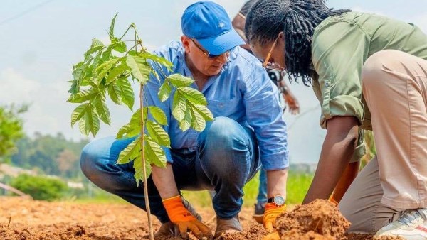 الدكتور هاني سويلم 